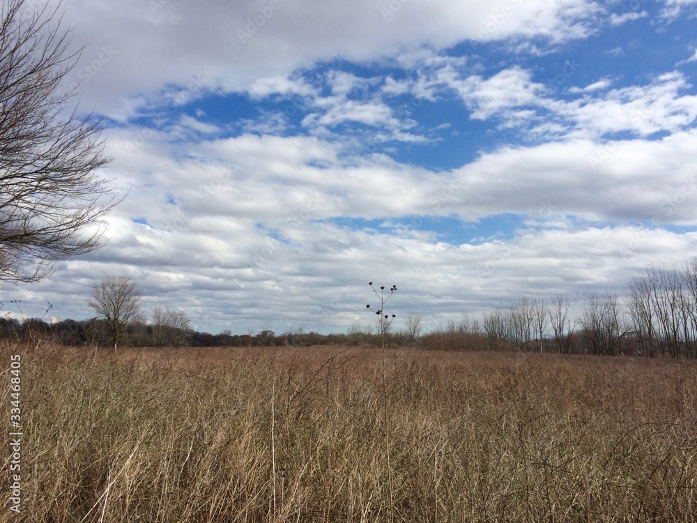field and blue sky with clouds field and blue sky with clouds