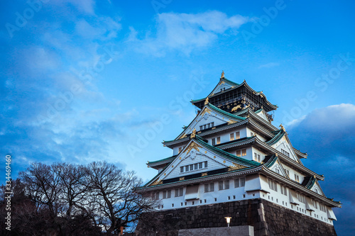 Canvas Print View to the Sunset Castle under Blue Sky and Trees, Japan