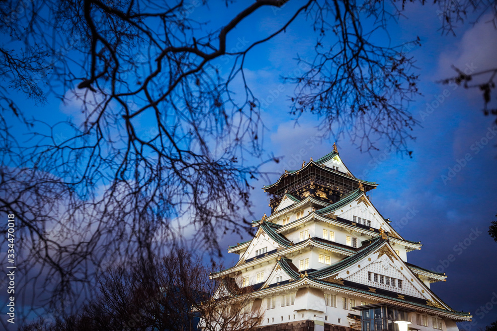 Fototapeta premium View to the Sunset Castle under Blue Sky and Trees, Japan