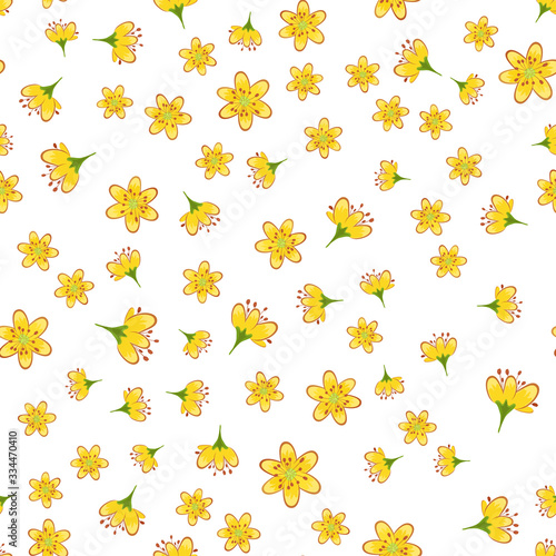 Seamless pattern with yellow hypericum flowers on a white background.