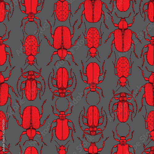 Hand drawn bugs in vintage style. Seamless pattern. Beetles vector illustrati...