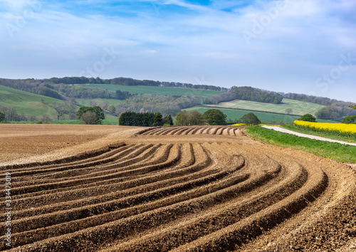 Plough lines in a field