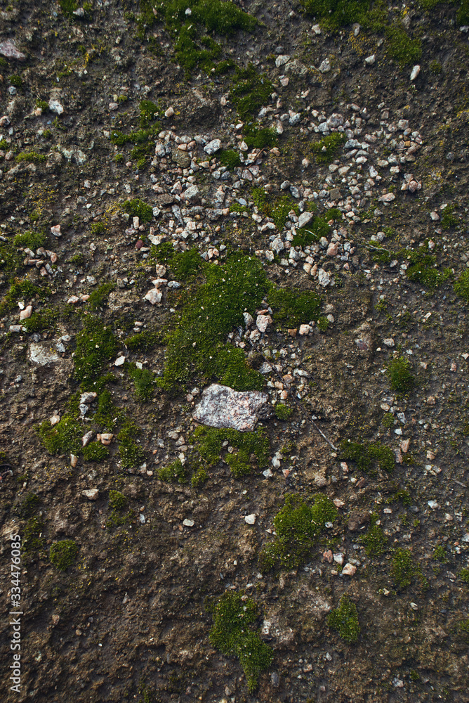 Green moss with granite on the ground