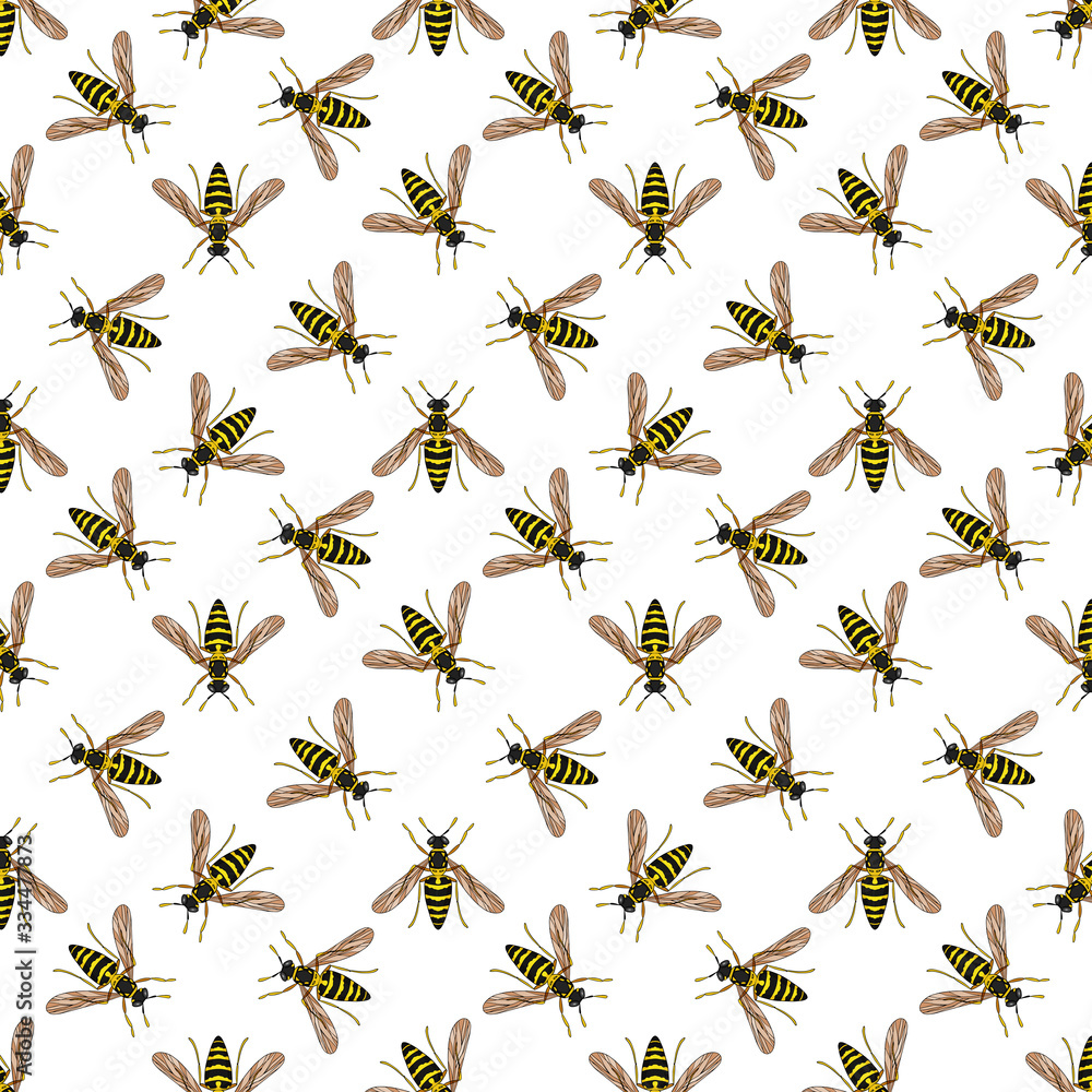 Seamless vector pattern with wasp Seamless vector pattern with wasp
