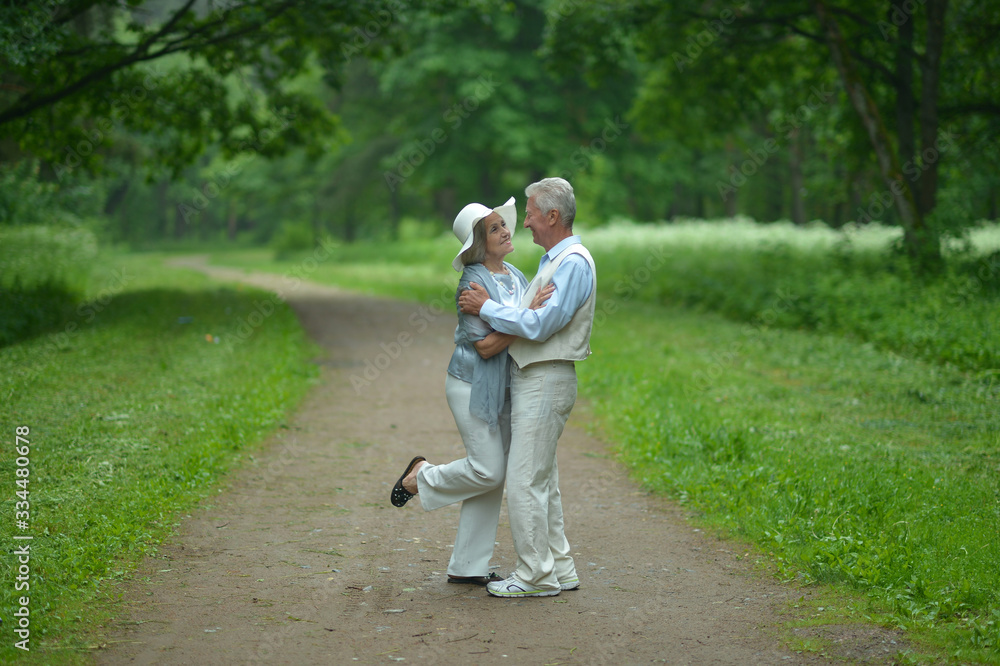 Obraz premium Portrait of caucasian senior couple in the park