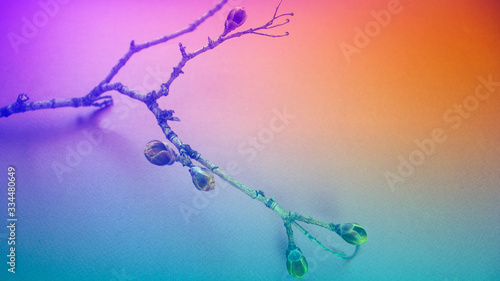 Branch with buds on a multi-colored background of orange, blue, pink . 