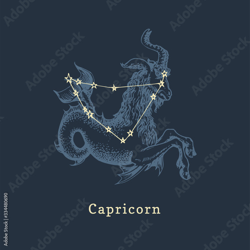 Zodiac constellation of Capricorn and its symbol in engraving style. Vector illustration of astrological sign Sea Goat.