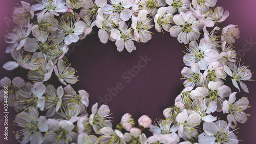 Delicate spring flowers on a dark background. Banner.