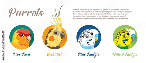 PARROTS Icon SET - 3 Species - VECTOR