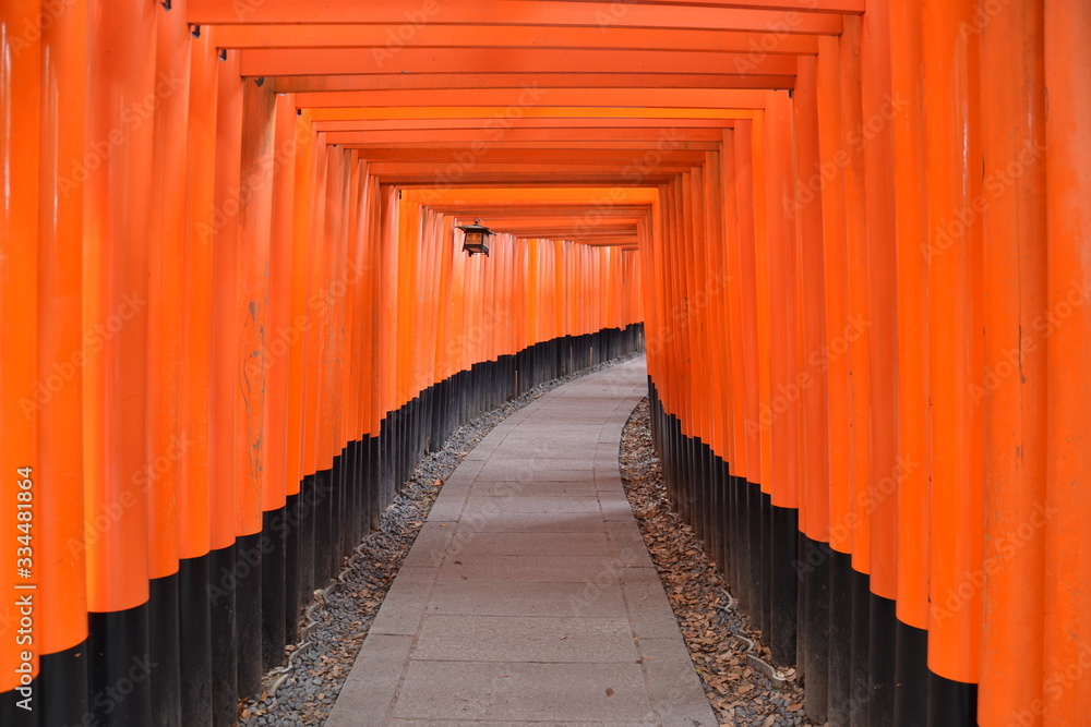Viaggio in Gioappone - Santuario di Fushimi Inari-taisha Viaggio in Gioappone - Santuario di Fushimi Inari-taisha