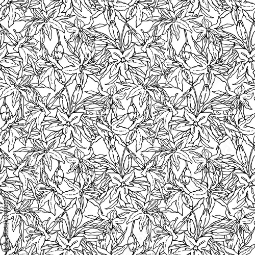 Oriental Lilies. Monochrome seamless pattern of big flowers, leaves and buds of lilium. Hand-drawn collection. Black and white vector illustration.