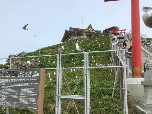 Kabushima Shrine photo