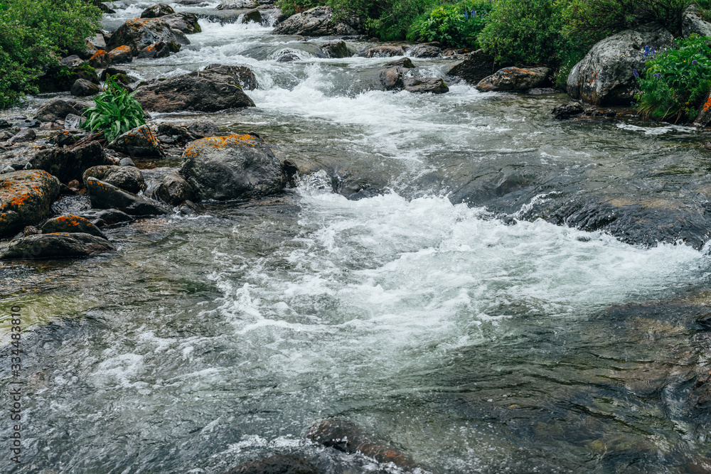 Beautiful landscape with stones in water riffle of mountain river. Powerful water stream among boulders in mountain creek with rapids. Fast flow among rocks in highland brook. Small river close-up. Beautiful landscape with stones in water riffle of mountain river. Powerful water stream among boulders in mountain creek with rapids. Fast flow among rocks in highland brook. Small river close-up.