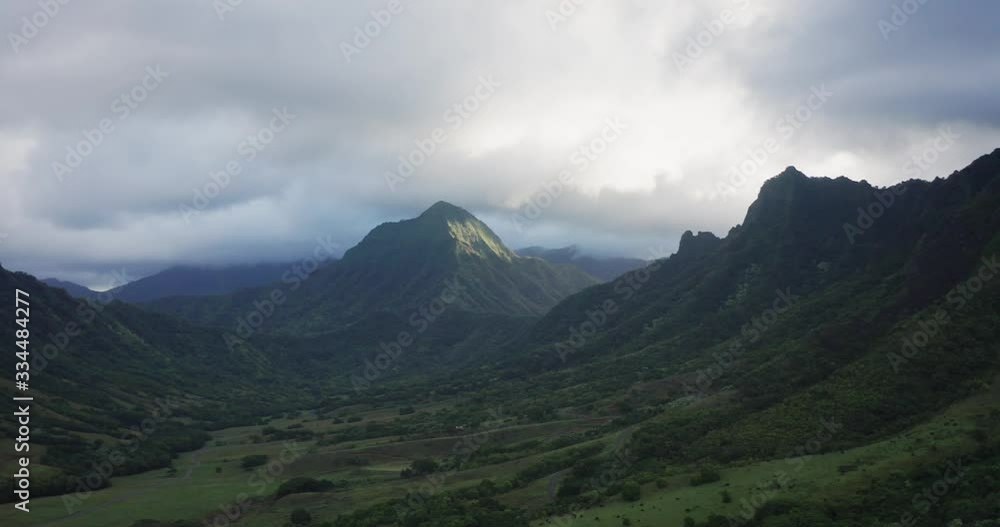 Drone view of Jungle on Oahu Drone view of Jungle on Oahu