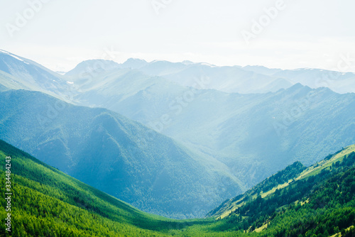 Beautiful aerial view to green forest valley and great snowy mountains far in sunny day. Awesome alpine landscape of vast expanses in sunlight. Wonderful vivid scenery with green forest mountains.
