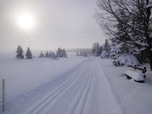 winter landscape with skiing tracks