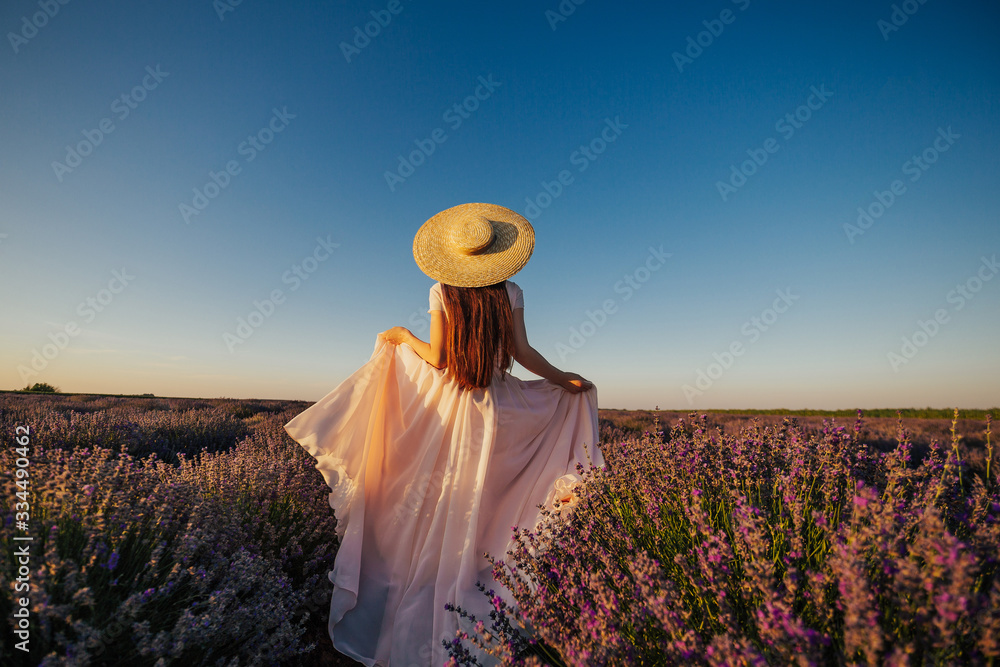 Attractive girl with long hair in pale rose long dress dreaming. Beautiful young woman walking the field of lavender in Provence. Fashion outfit, straw hat. Back view. Violet in nature. Copy space.