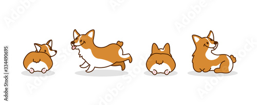 Cute corgi dogs. Puppy. Hand drawn corgi dogs. Vector