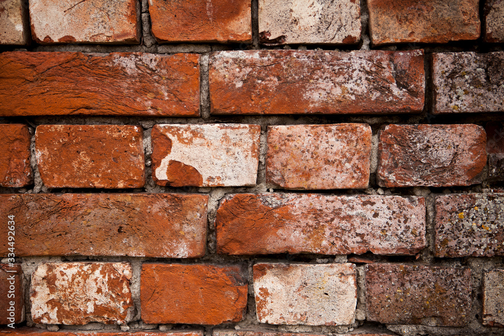 Fototapeta premium Old brick wall, a beautiful background for wallpaper, laminate, panels, furniture.