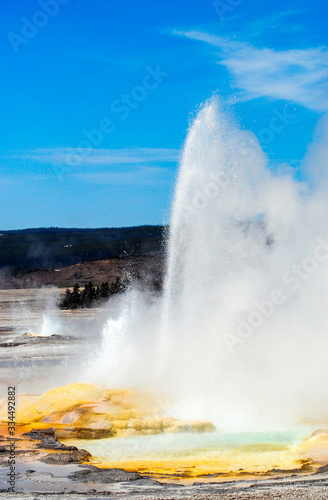 A geyser erupting in Yellowstone National Park