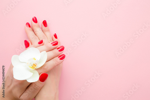 Beautiful woman hands with red nails on light pink table background. Pastel color. White orchid flower. Closeup. Manicure, pedicure beauty salon concept. Empty place for text or logo. Top down view.