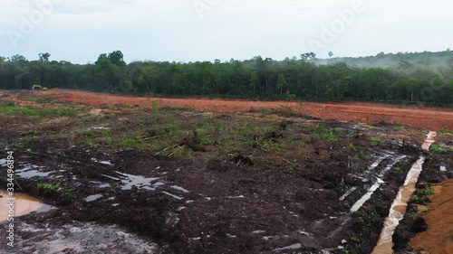 deforestation of the jungle for mining, plantation or fine wood