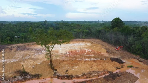 deforestation of the jungle for mining, plantation or fine wood