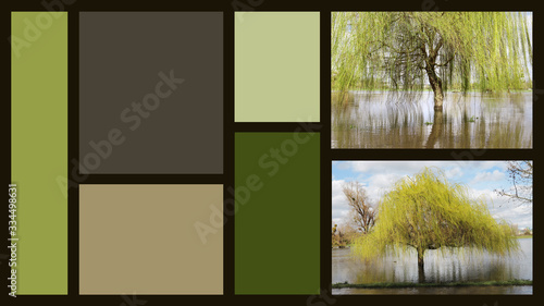 Fond écran HD organiseur décor arbres