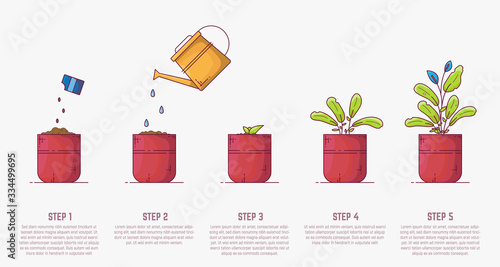 Growing plant stages. Seeds, watering can, sprout and grown plant. House plant in flowerpot. Line style flat illustration of house plant with leaves in pot. Thin lines. Growing process.