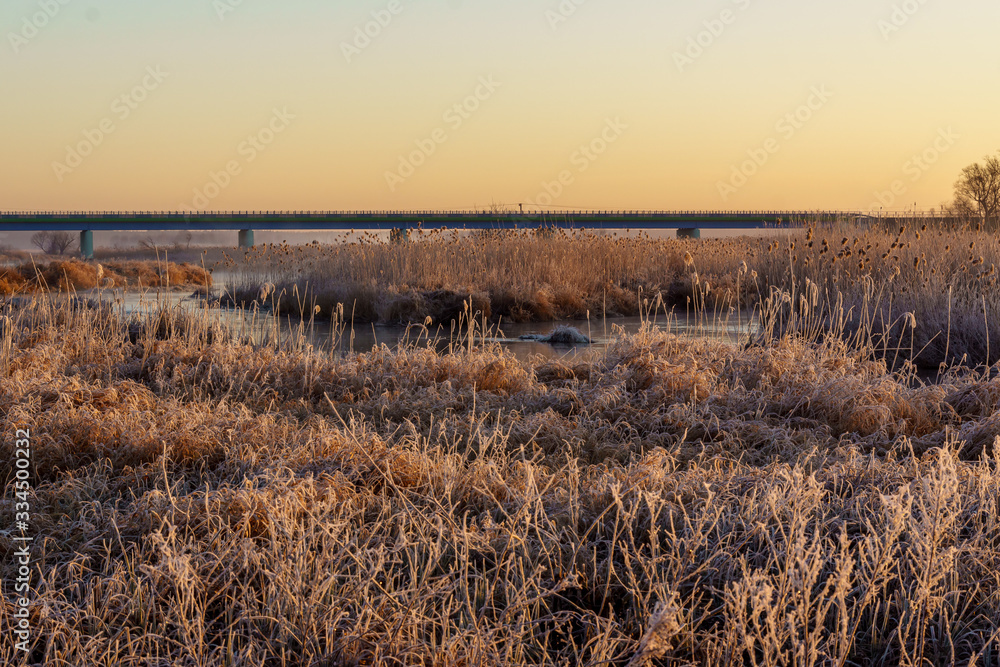 Poranek w Narwiańskim Parku Narodowym. Rzeka Narew. Polska Amazonia. Podlasie. Polska Poranek w Narwiańskim Parku Narodowym. Rzeka Narew. Polska Amazonia. Podlasie. Polska