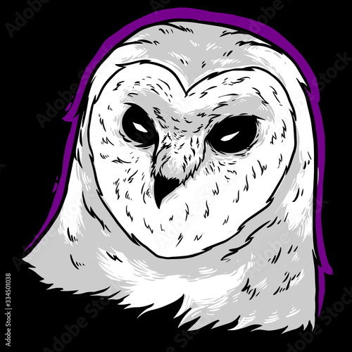 owl on a black background