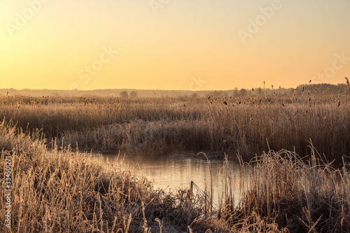 Poranek w Narwiańskim Parku Narodowym. Rzeka Narew. Polska Amazonia. Podlasie. Polska