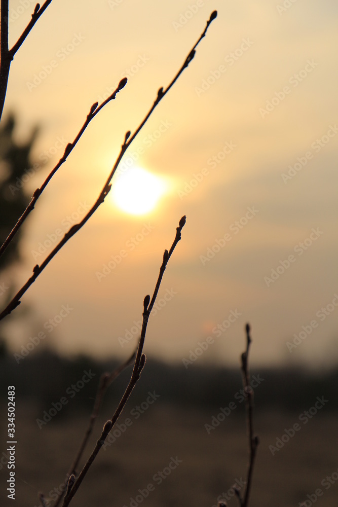 Obraz premium Beautiful orange sunrise on the lake