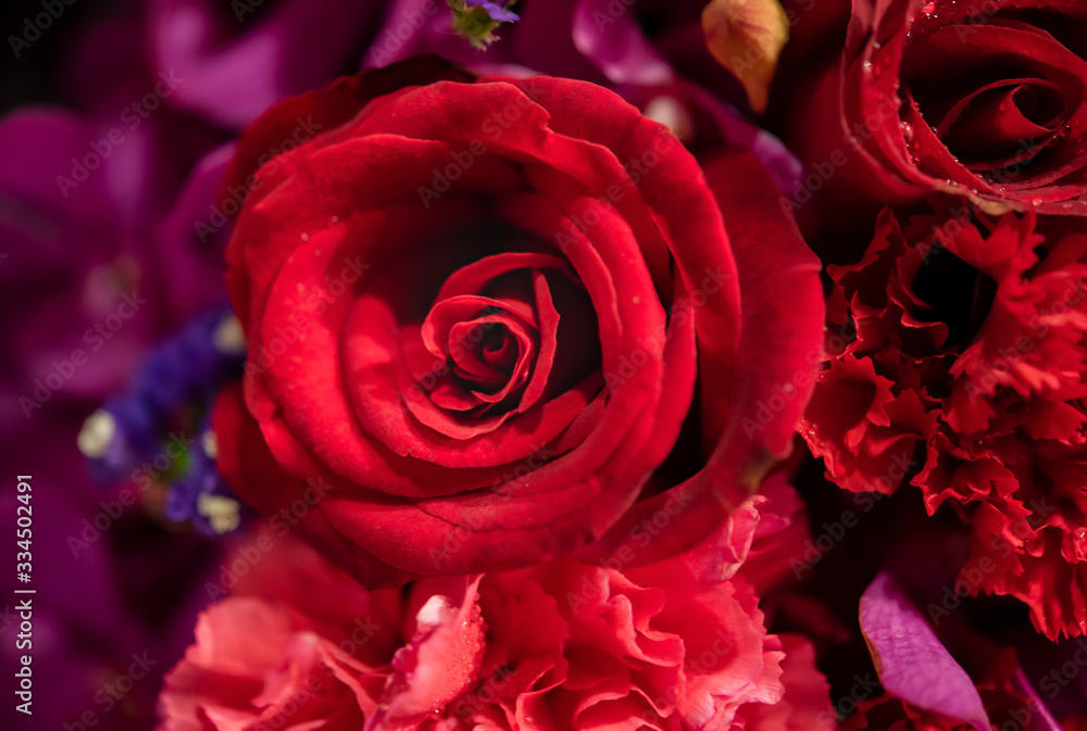 Bouquet of fresh roses, flower bright background. Bouquet of fresh roses, flower bright background.