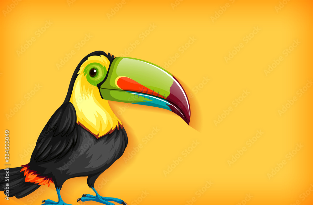 Fototapeta premium Background template with plain color and toucan bird