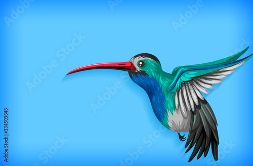 Background template with plain color and hummingbird © blueringmedia