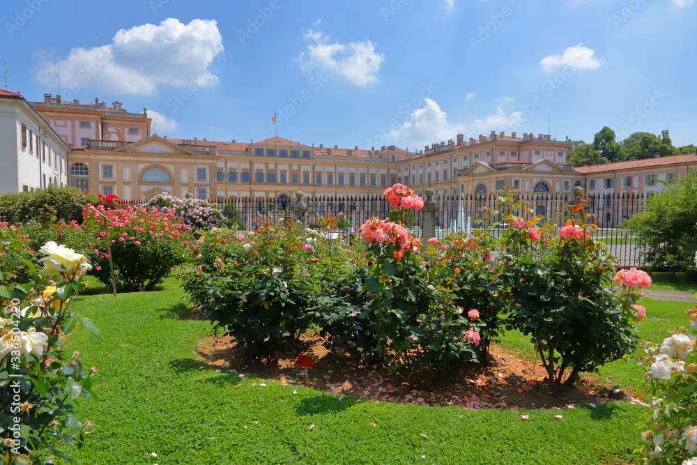 garden with roses at the royal villa in monza city in italy 