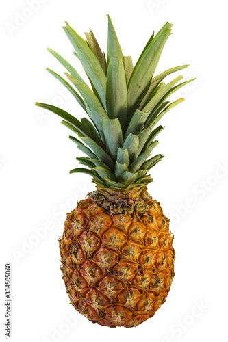 Big fresh ripe canarian Pineapple isolated on red background