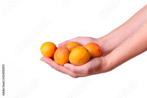 Female hand with tasty apricot on white background