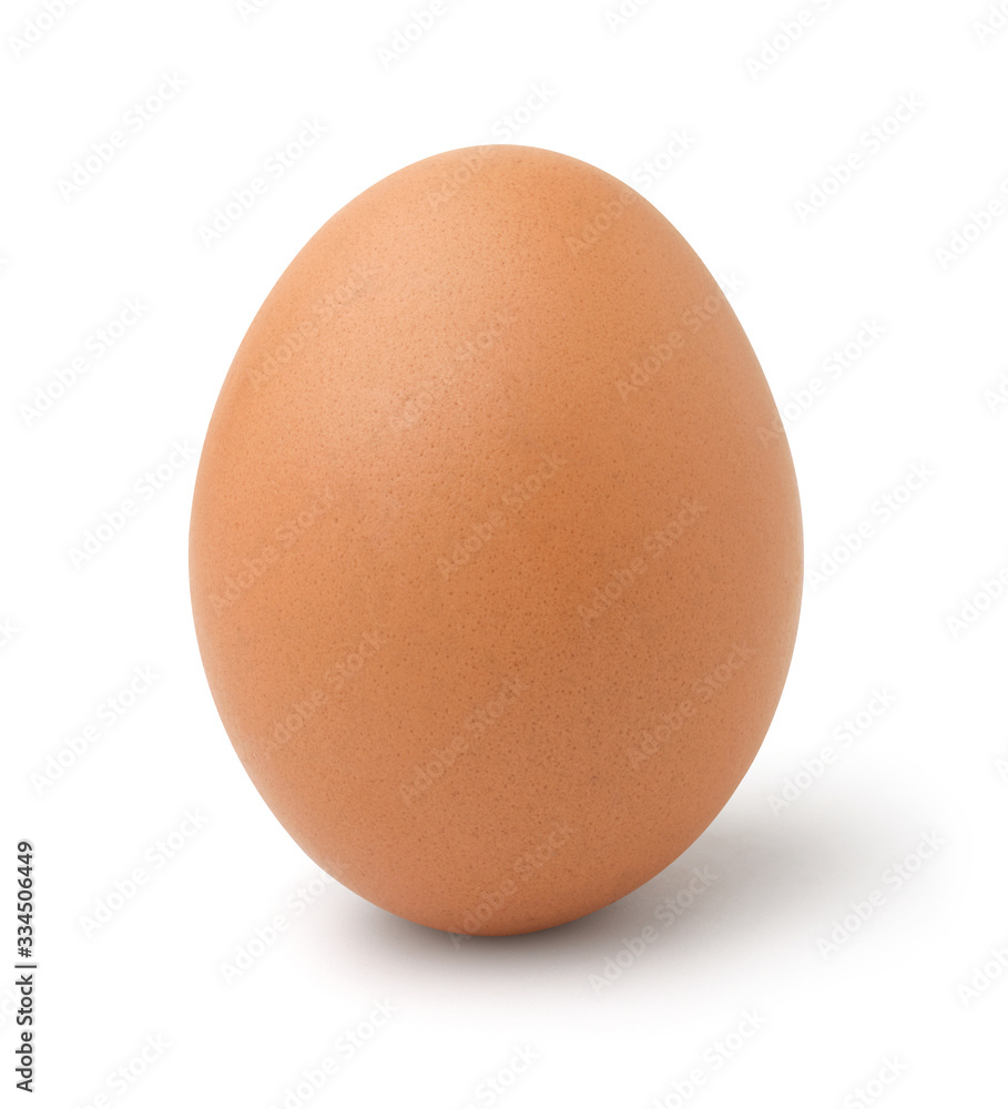Raw chicken egg isolated on the white background. Raw chicken egg isolated on the white background.