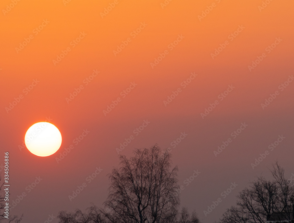 Obraz premium sunset in forest