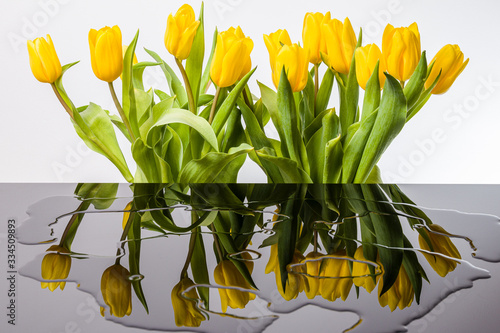 Bukiet tulipanów i lustrzane odbicie.  Żółte kwiaty. © art08