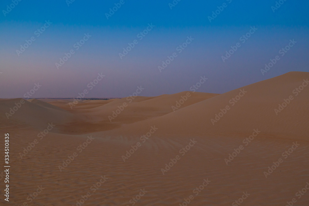 UAE. Desert  landscape