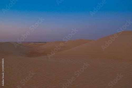 UAE. Desert landscape