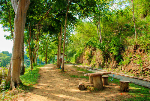 Forest in summer with benches, table and sun shining through the trees , Nature of rocky mountains in thailand