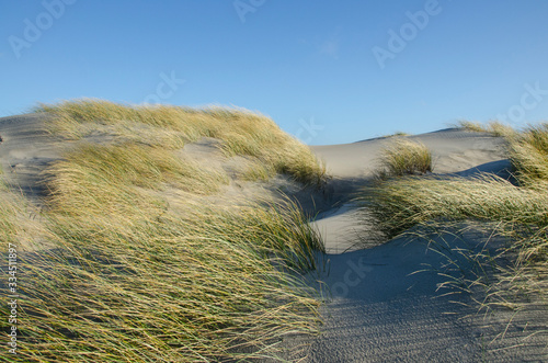 dune sable oyat vent le Touquet côte d'Opale