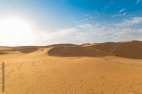 UAE. Desert  landscape © erainbow