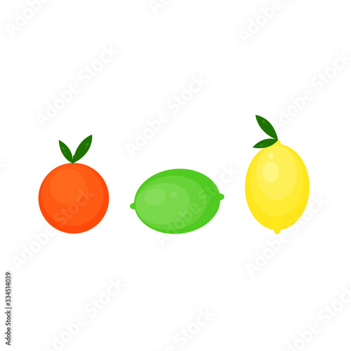 Fototapeta Naklejka Na Ścianę i Meble -  This is vector citrus fruits. Lemon, lime, orange, mandarine isolated on white background.