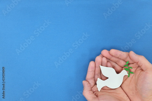 Male hands holding a white dove with olive branch in blue background as hope and oeace symbol. Top view with copy space.