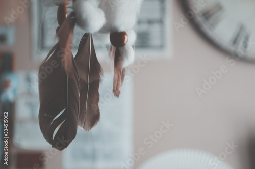 vintage photography of feathers in bedroom 